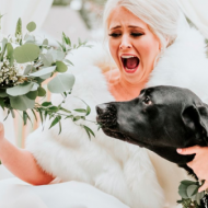 ძაღლთან ერთად გადაღებულმა ქორწილის ფოტოებმა ინტერნეტ სივრცეში პოპულარობა სწრაფად მოიპოვა