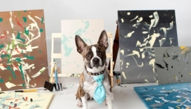 ძაღლი თავისი გაყიდული ნახატებით ცხოველთა თავშესაფარს დაეხმარება (+ვიდეო)