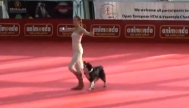 საოცარი სანახაობა - ძაღლისა და გოგონას ერთობლივი გამაოგნებელი ცეკვა!