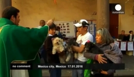 მექსიკა: წმინდა ანტონის დღეს ცხოველები ნაკურთხი წყალით დალოცეს (+ვიდეო)