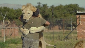 გარეული ცხოველების მოყვარულმა, აფრიკაში, საკუთარი ნაკრძალი გააკეთა (+ვიდეო)