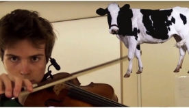 მუსიკოსი ვიოლინოს დახმარებით ცხოველების ხმის იმიტირებას საოცრად ასრულებს (+ვიდეო)