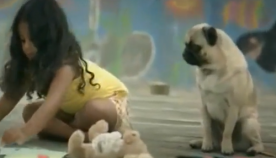 ძაღლი ზრუნავს პატარა გოგონაზე (+ვიდეო)
