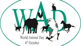 4 ოქტომბერს მსოფლიოში ცხოველთა დაცვის საერთაშორისო დღეს აღნიშნავენ