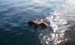 მეთევზემ ზღვაში მისკენ მცურავი, საოცარი რამ შენიშნა (+ვიდეო)