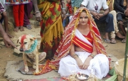 გოგონა უპატრონო ძაღლზე დაქორწინდა (+ვიდეო)
