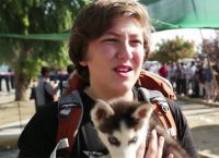 სირიელმა ბიჭმა 500 კმ. ფეხით გაიარა, რათა ძაღლი ომიდან სამშვიდობოს გამოეყვანა