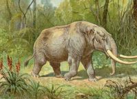 აიოვას შტატში მოზარდმა იპოვა მასტოდონტის ყბის ძვალი, რომლის ასაკიც დაახლოებით 34 ათასი წელია
