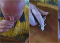 მამაკაცმა გეკონს ხელოვნური სუნთქვა ჩაუტარა და მისი სიცოცხლე გადაარჩინა (ემოციური ვიდეო)